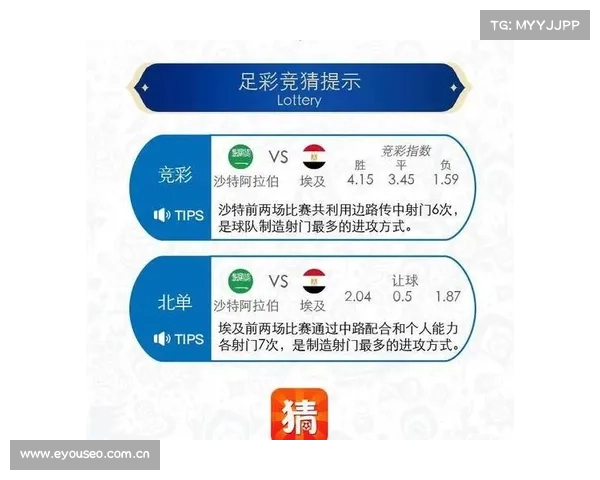 沙特-埃及赛事分析_沙特对埃及 沙特-埃及赛事分析_沙特对埃及